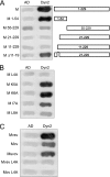 FIG. 3.