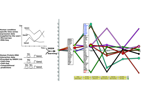 Figure 3 