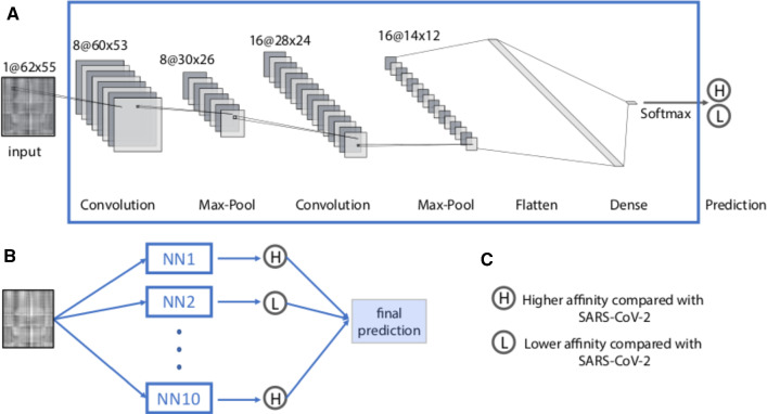 graphic file with name 10189_2021_119_Figa_HTML.jpg