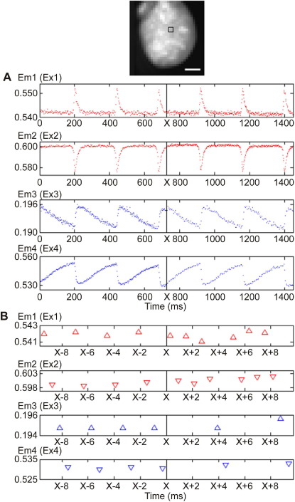 Figure 4