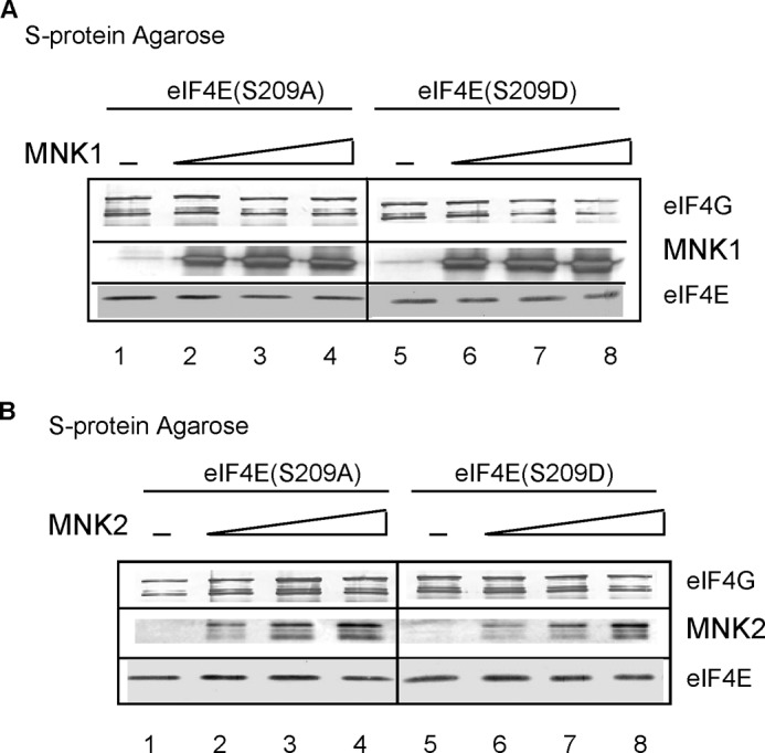 FIGURE 9.