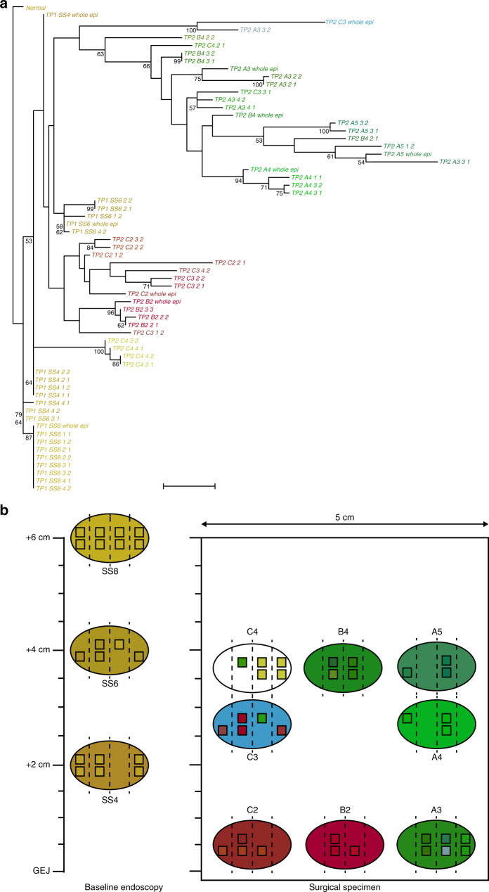 Fig. 3