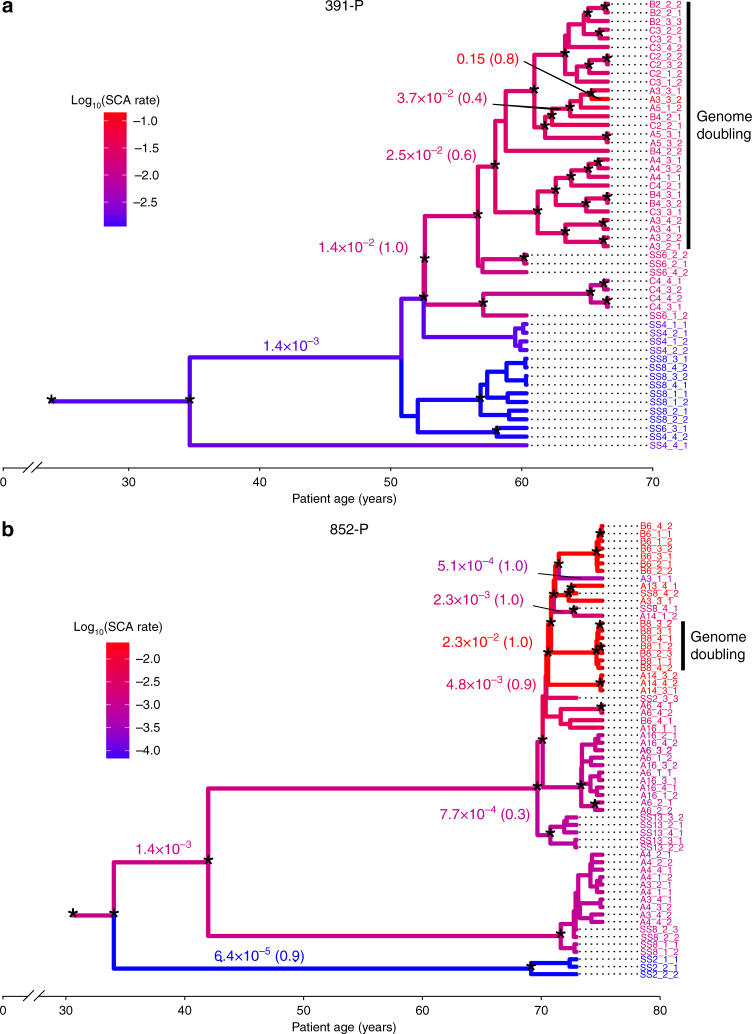 Fig. 7