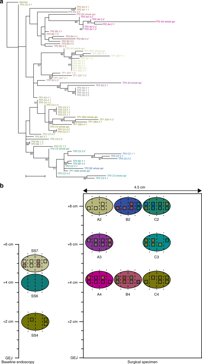 Fig. 4