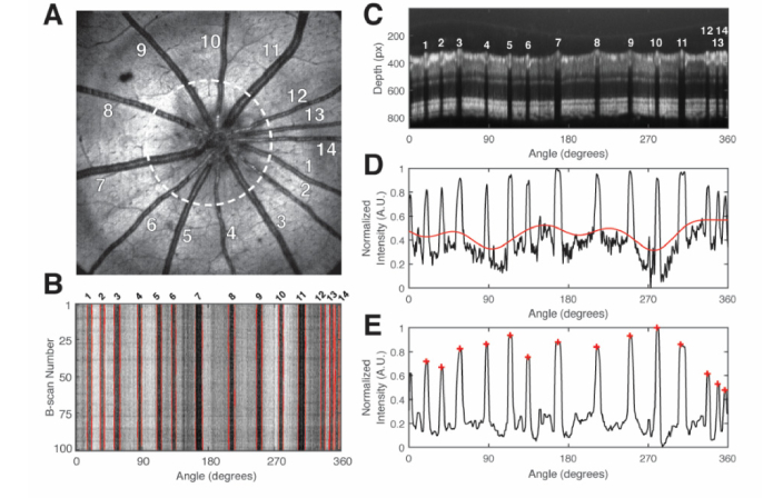 Fig. 2