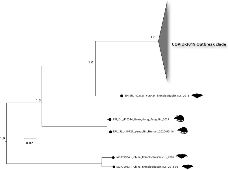 Fig. 2