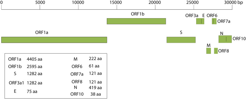 Fig. 1