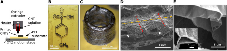 Fig. 5.