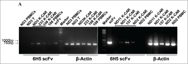 Figure 1 .