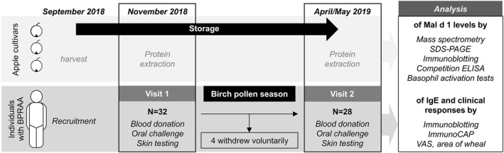 FIGURE 1