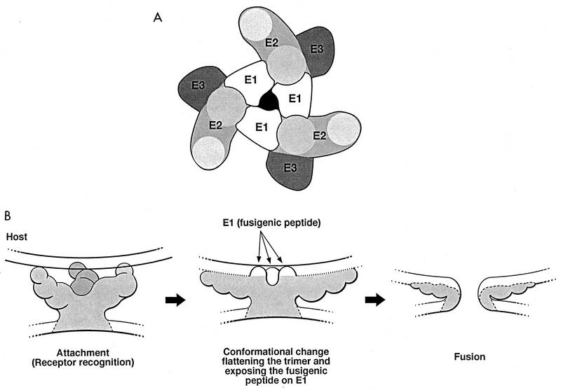 FIG. 6