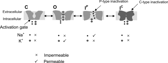 Figure 16.