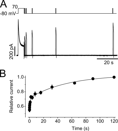 Figure 5.