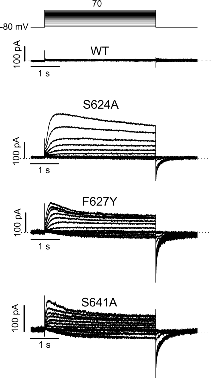 Figure 13.