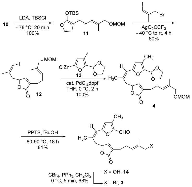 Scheme 3