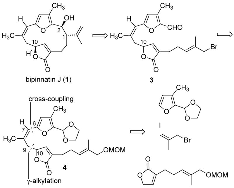 Scheme 1