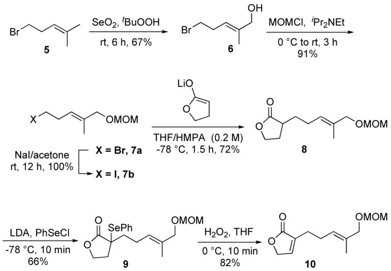 Scheme 2