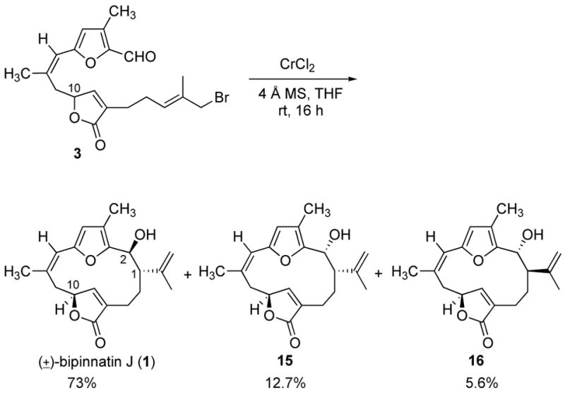 Scheme 4