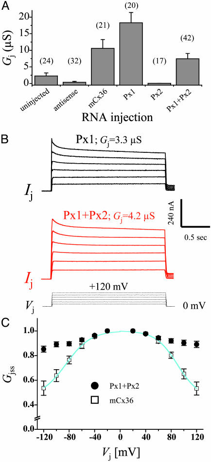 Fig. 4.