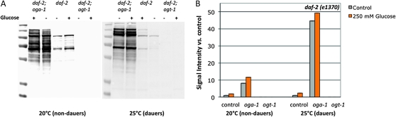 Figure 3.—