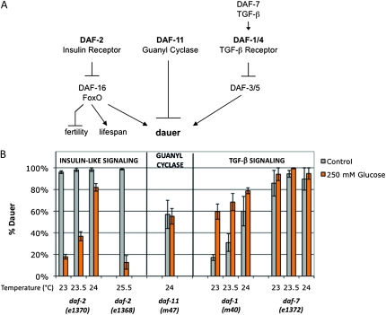 Figure 6.—