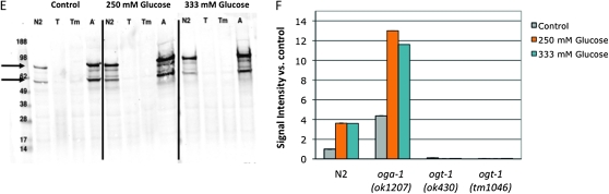 Figure 1.—