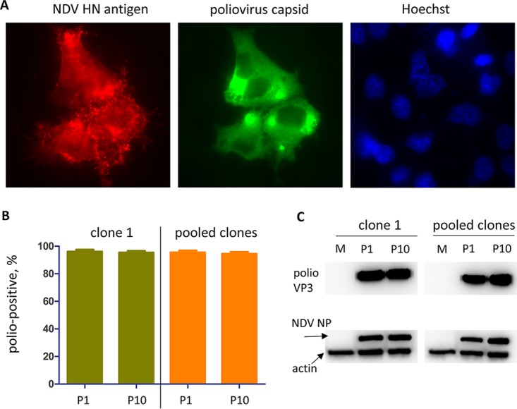 FIG 3