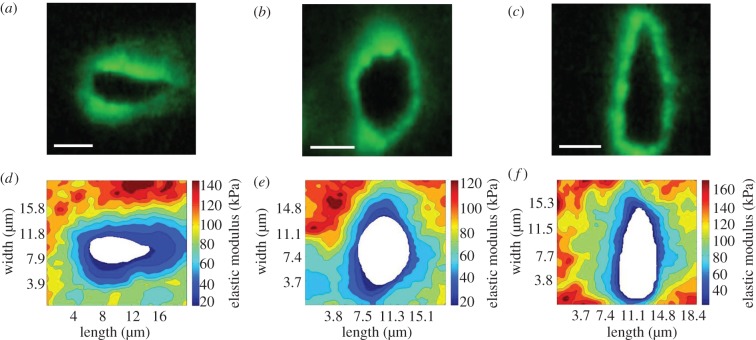 Figure 3.