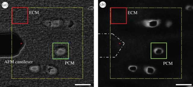 Figure 1.