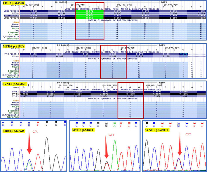 FIGURE 3