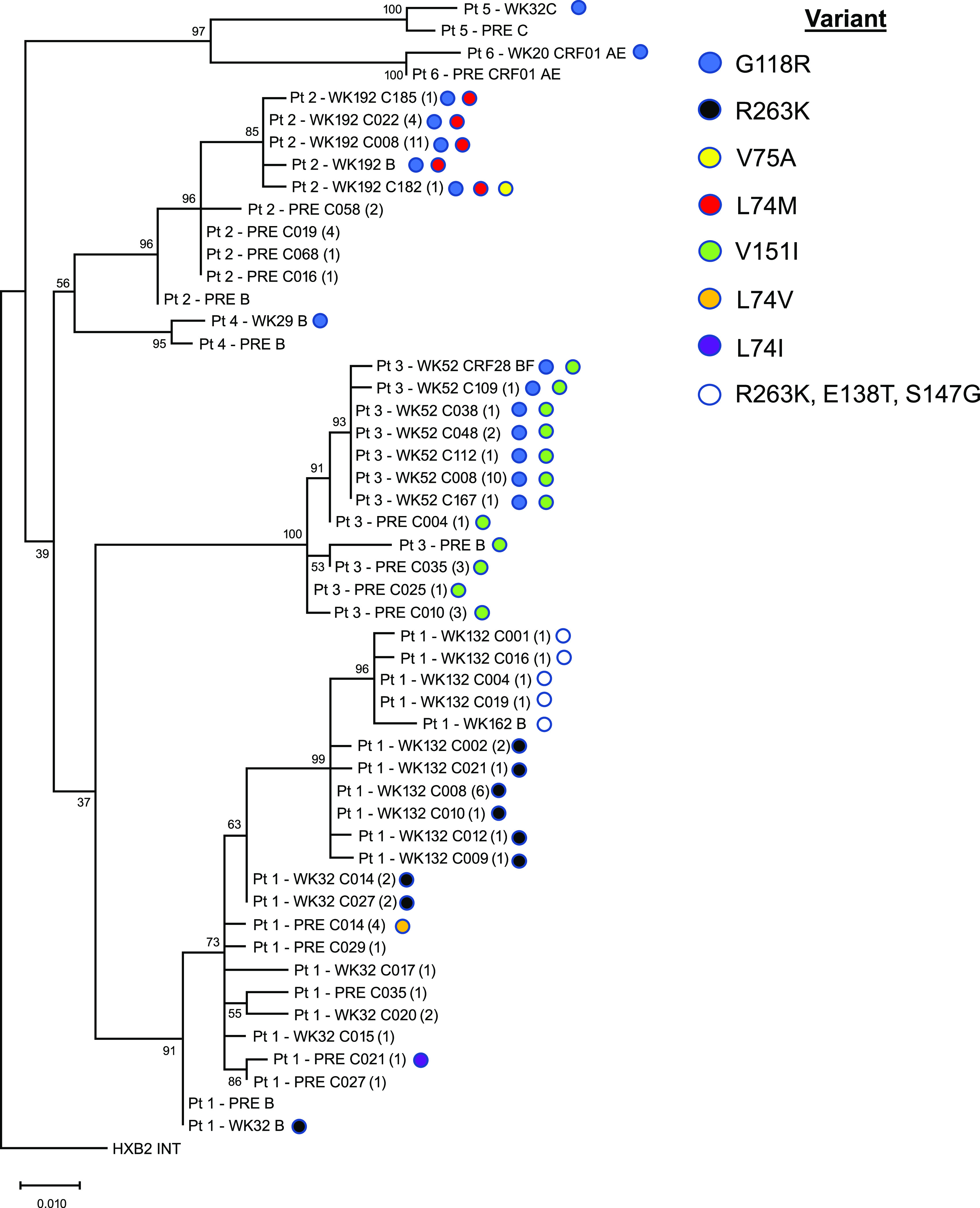 FIG 2