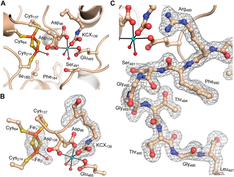 Figure 4.