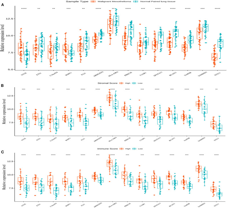 Figure 6