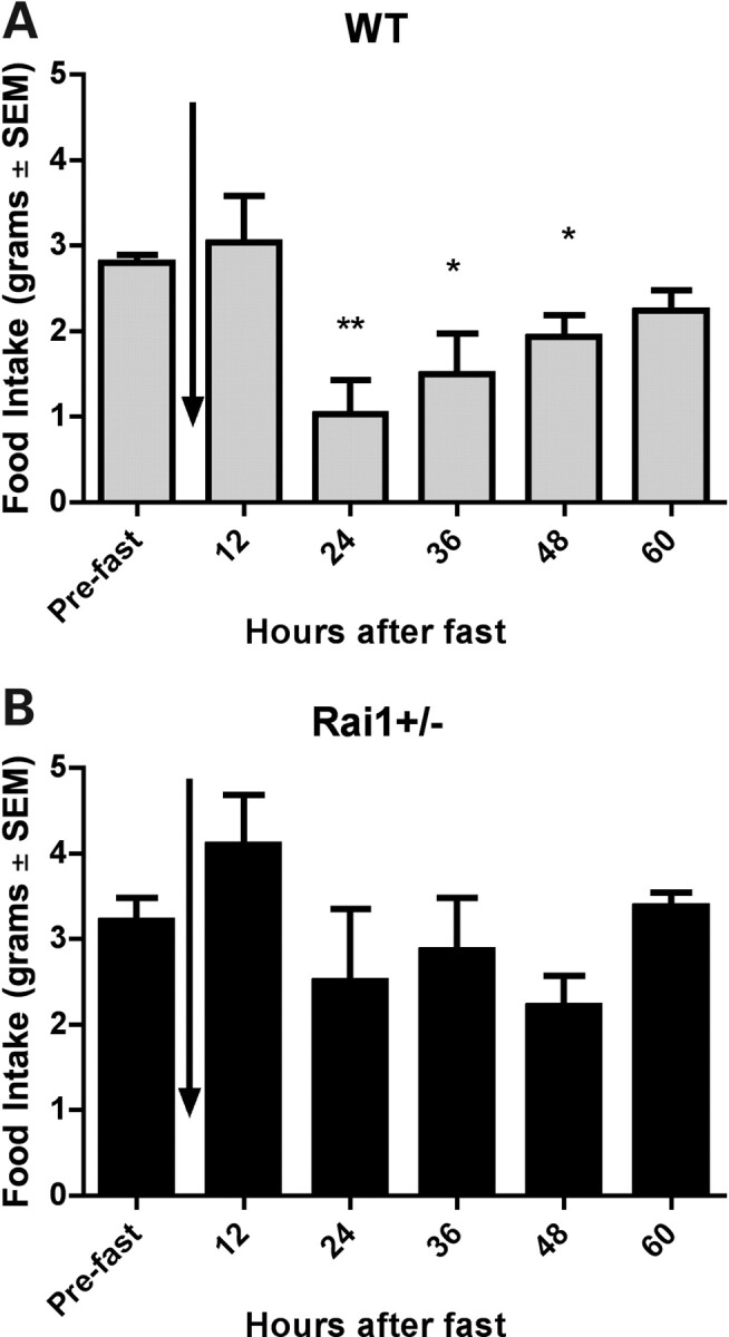 Figure 2.