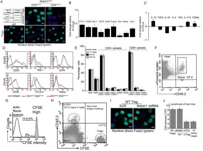 Figure 5—figure supplement 1.