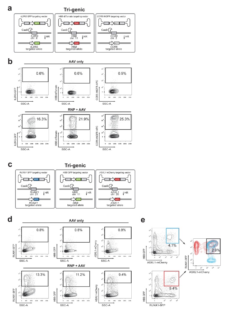 Figure 4—figure supplement 2.