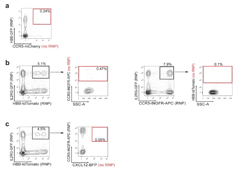 Figure 4—figure supplement 4.