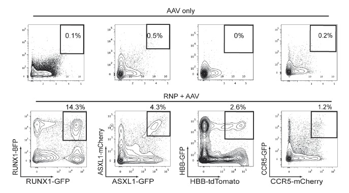 Figure 2—figure supplement 1.