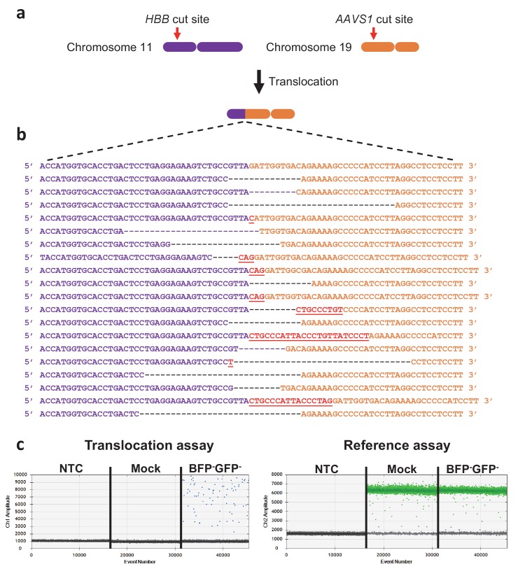 Figure 3—figure supplement 2.