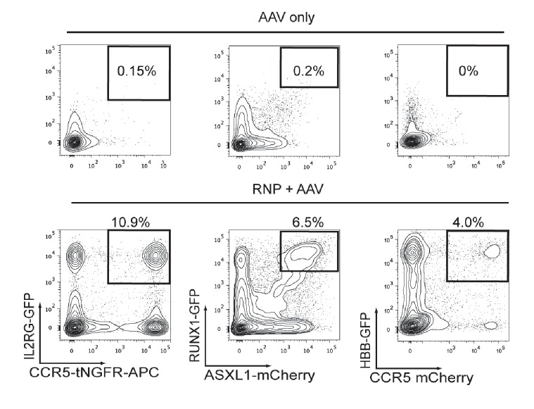 Figure 3—figure supplement 1.