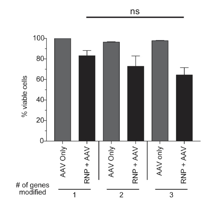 Figure 4—figure supplement 3.