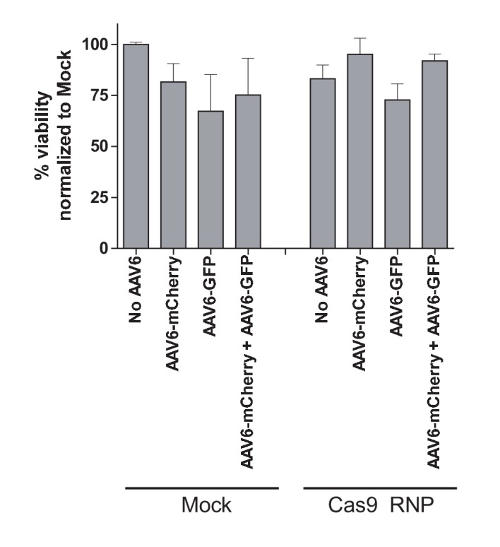 Figure 2—figure supplement 2.