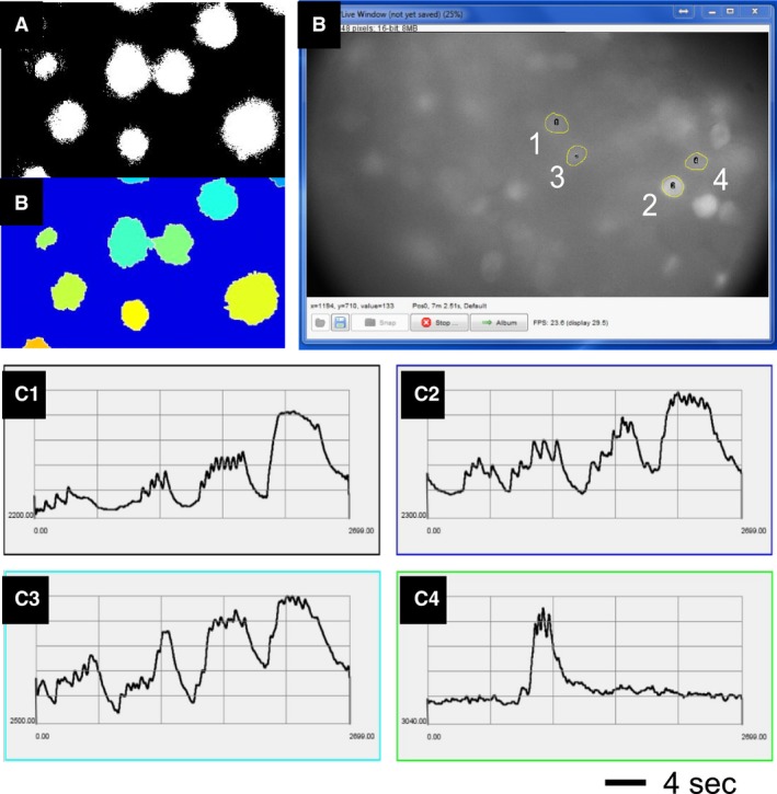 Figure 4