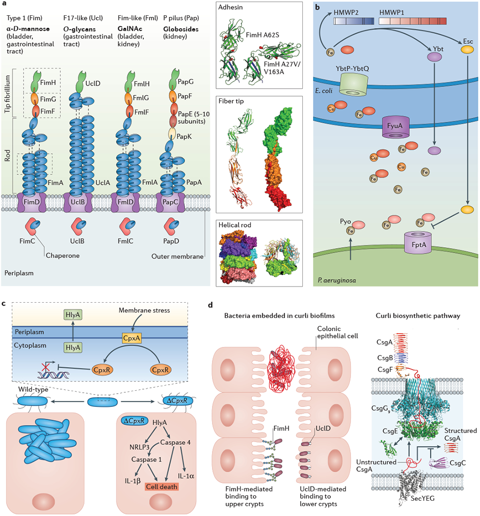 Figure 2: