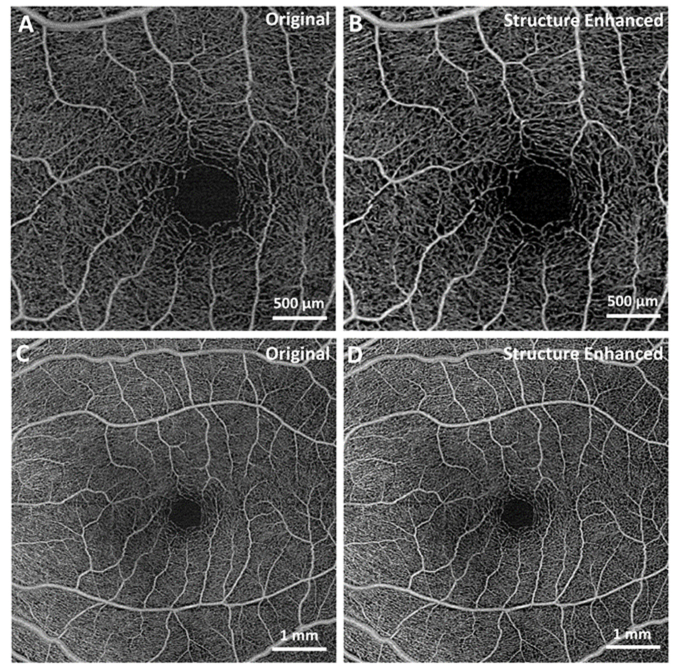 Fig. 6