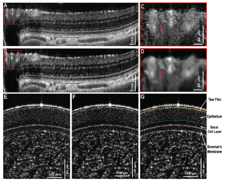 Fig. 7