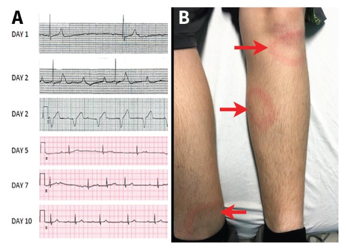 Figure 1: