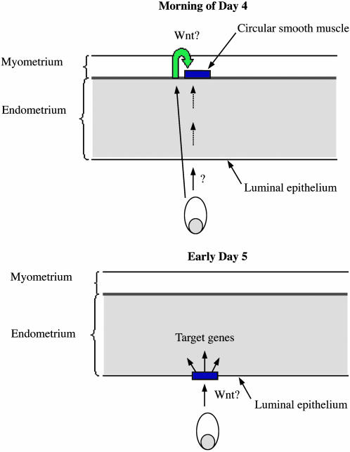 Fig. 5.