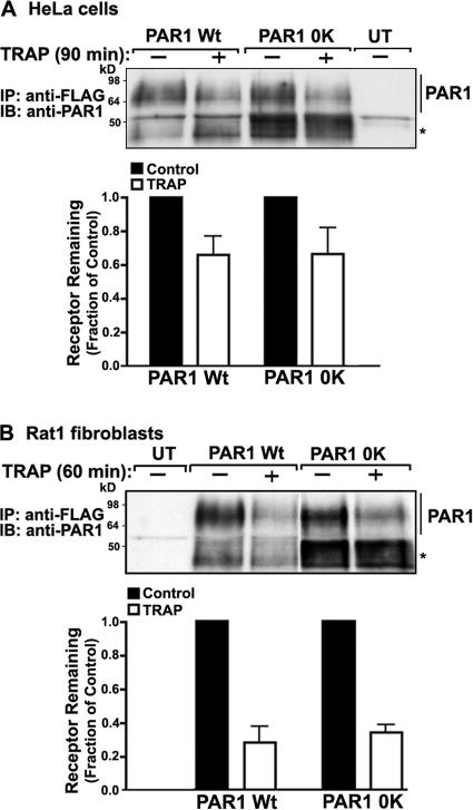 Figure 10.