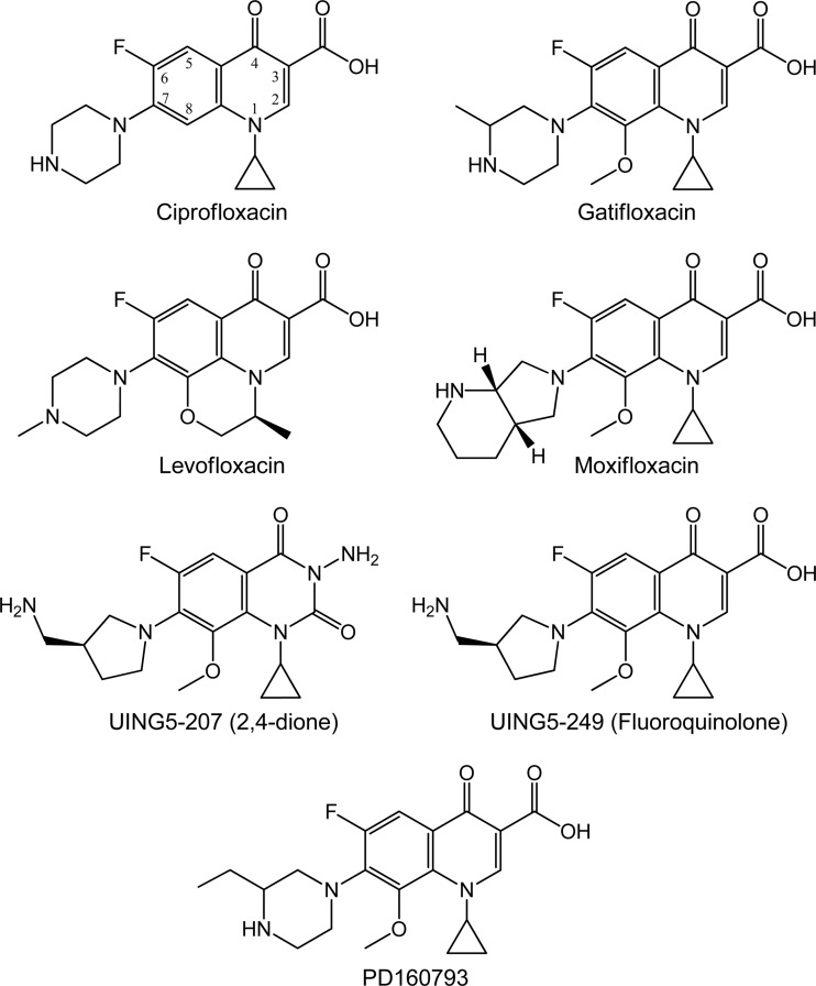 Fig 1